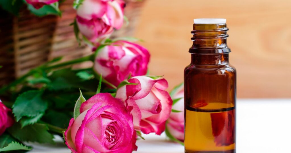 Rose essential oil in bottle with pink flowers.